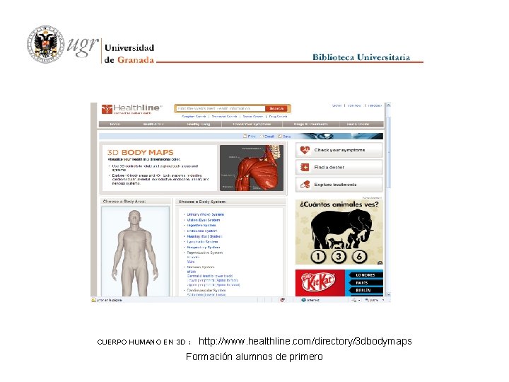 CUERPO HUMANO EN 3 D : http: //www. healthline. com/directory/3 dbodymaps Formación alumnos de
