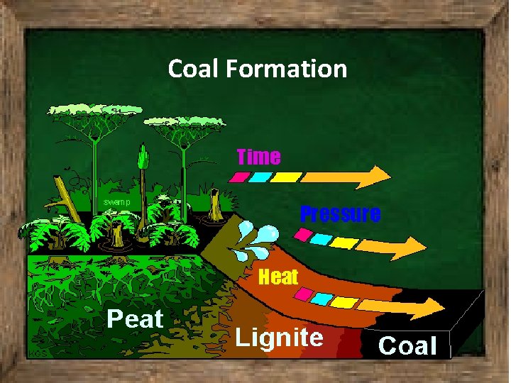 Coal Formation 