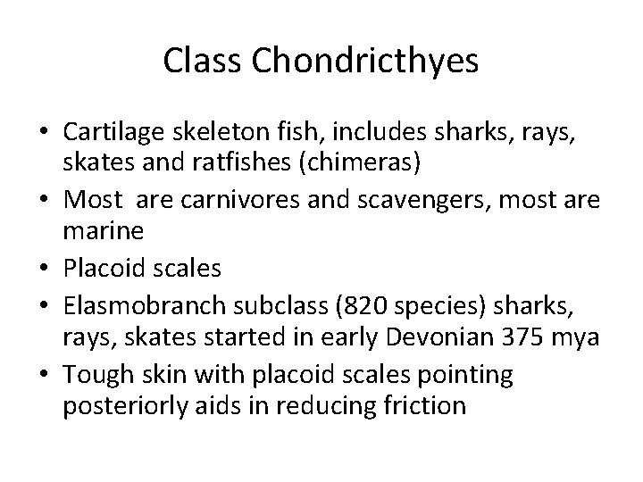 Class Chondricthyes • Cartilage skeleton fish, includes sharks, rays, skates and ratfishes (chimeras) •