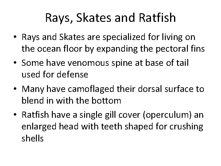 Rays, Skates and Ratfish • Rays and Skates are specialized for living on the