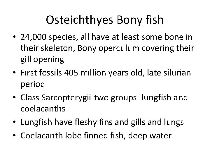 Osteichthyes Bony fish • 24, 000 species, all have at least some bone in