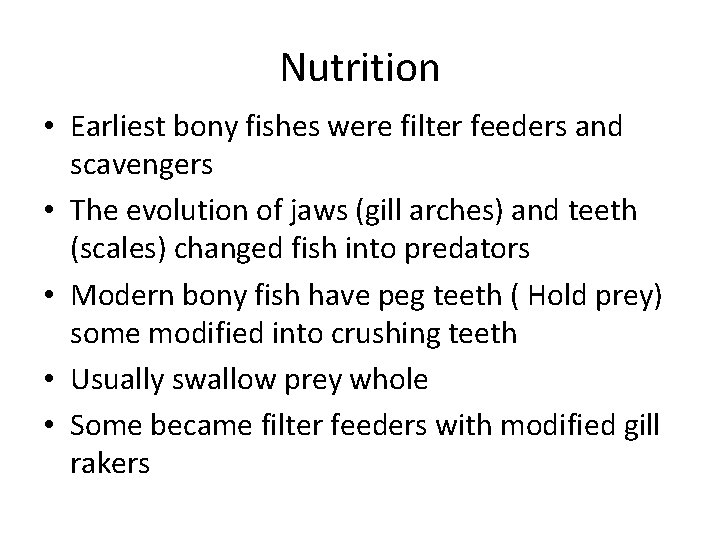 Nutrition • Earliest bony fishes were filter feeders and scavengers • The evolution of