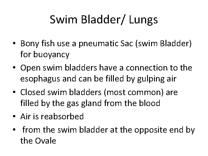 Swim Bladder/ Lungs • Bony fish use a pneumatic Sac (swim Bladder) for buoyancy