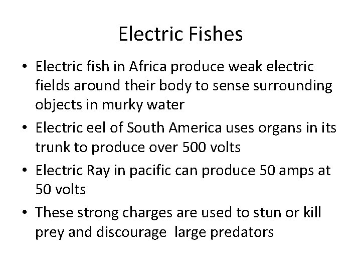 Electric Fishes • Electric fish in Africa produce weak electric fields around their body
