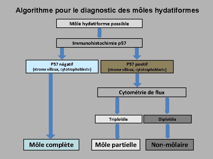 Algorithme pour le diagnostic des môles hydatiformes Môle hydatiforme possible Immunohistochimie p 57 P