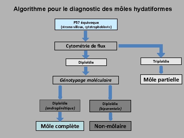 Algorithme pour le diagnostic des môles hydatiformes P 57 équivoque (stroma villeux, cytotrophoblaste) Cytométrie