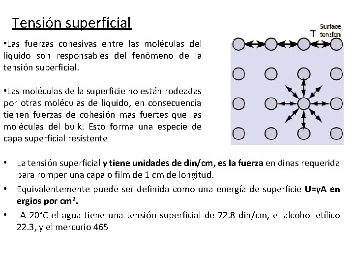 Tensión superficial • Las fuerzas cohesivas entre las moléculas del liquido son responsables del