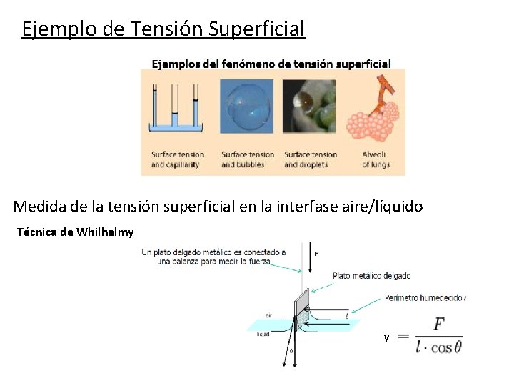 Ejemplo de Tensión Superficial Medida de la tensión superficial en la interfase aire/líquido Técnica