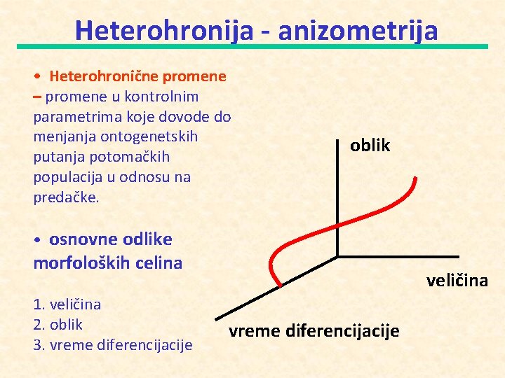 Heterohronija - anizometrija • Heterohronične promene – promene u kontrolnim parametrima koje dovode do