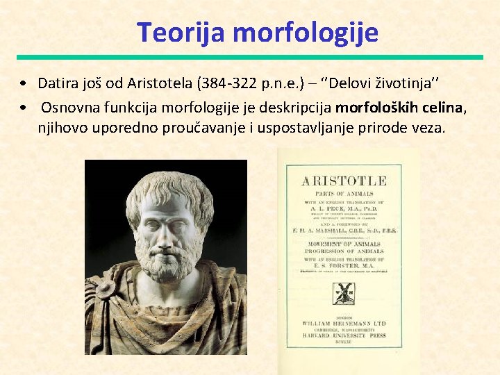 Teorija morfologije • Datira još od Aristotela (384 -322 p. n. e. ) –