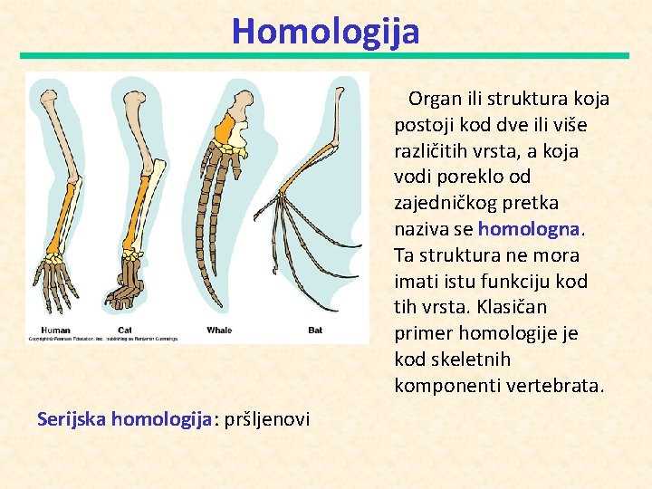 Homologija Organ ili struktura koja postoji kod dve ili više različitih vrsta, a koja