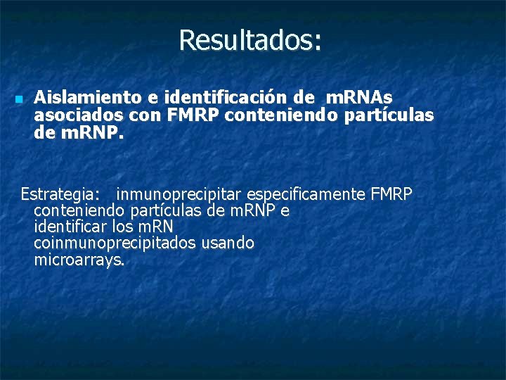 Resultados: Aislamiento e identificación de m. RNAs asociados con FMRP conteniendo partículas de m.