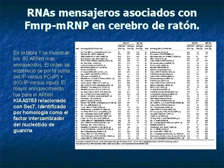 RNAs mensajeros asociados con Fmrp-m. RNP en cerebro de ratón. En la tabla 1