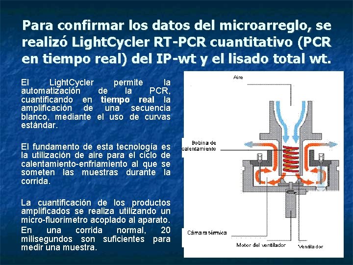 Para confirmar los datos del microarreglo, se realizó Light. Cycler RT-PCR cuantitativo (PCR en