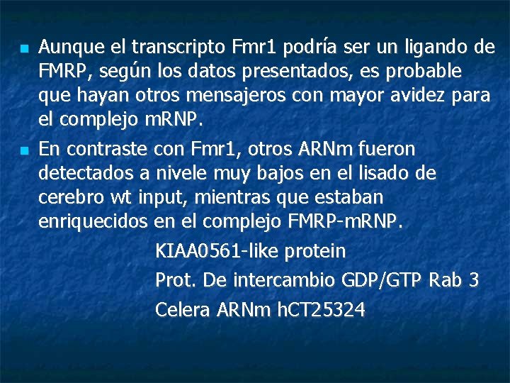  Aunque el transcripto Fmr 1 podría ser un ligando de FMRP, según los