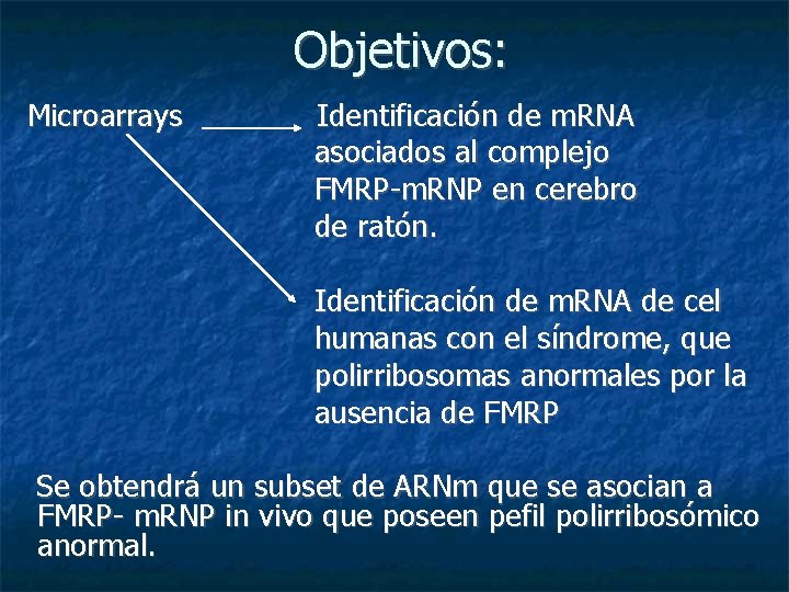 Objetivos: Microarrays Identificación de m. RNA asociados al complejo FMRP-m. RNP en cerebro de