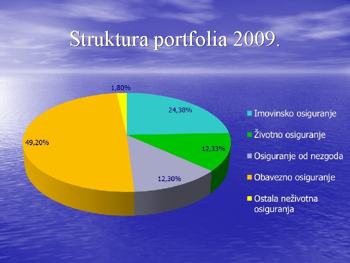 Struktura portfolia 2009. 