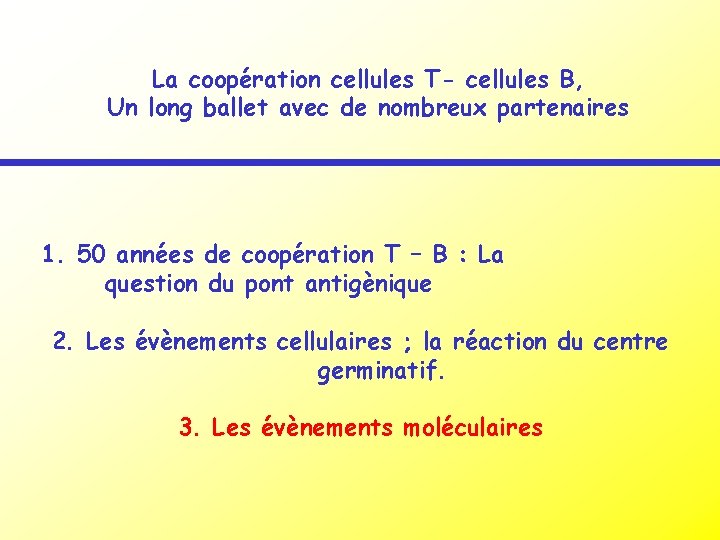 La coopération cellules T- cellules B, Un long ballet avec de nombreux partenaires 1.