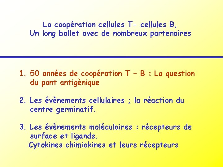 La coopération cellules T- cellules B, Un long ballet avec de nombreux partenaires 1.