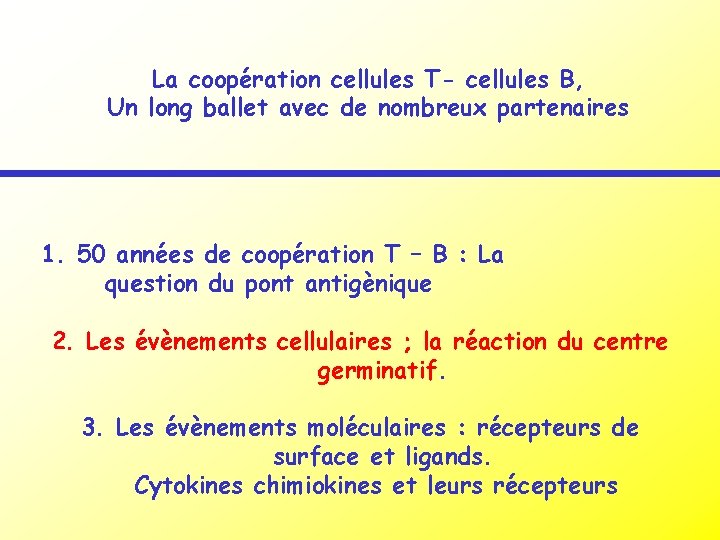 La coopération cellules T- cellules B, Un long ballet avec de nombreux partenaires 1.