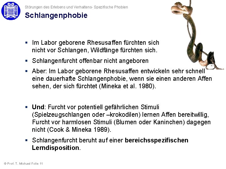Störungen des Erlebens und Verhaltens- Spezifische Phobien Schlangenphobie § Im Labor geborene Rhesusaffen fürchten Störungen des Erlebens und Verhaltens- Spezifische Phobien Schlangenphobie § Im Labor geborene Rhesusaffen fürchten