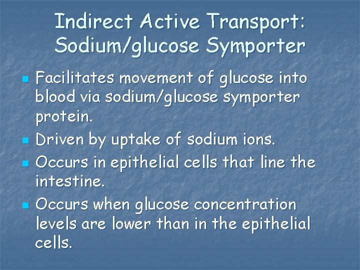 Indirect Active Transport: Sodium/glucose Symporter n n Facilitates movement of glucose into blood via