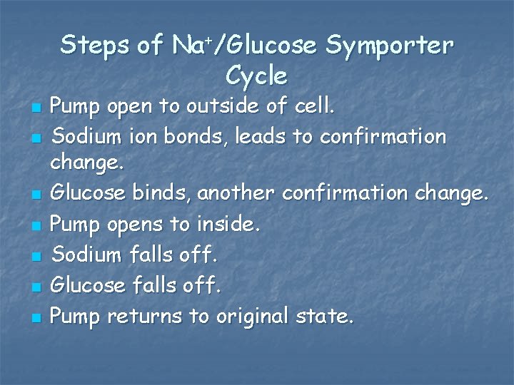 Steps of Na+/Glucose Symporter Cycle n n n n Pump open to outside of