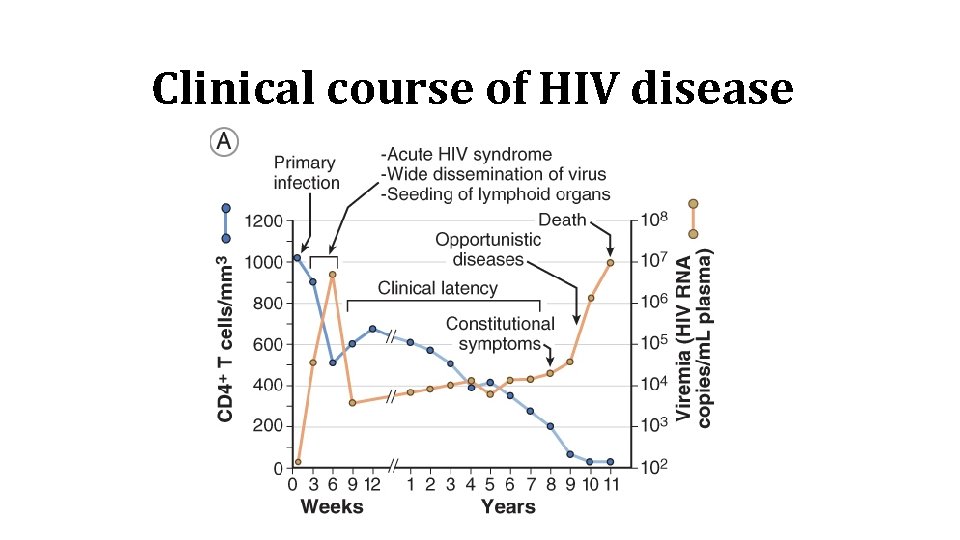 Clinical course of HIV disease 