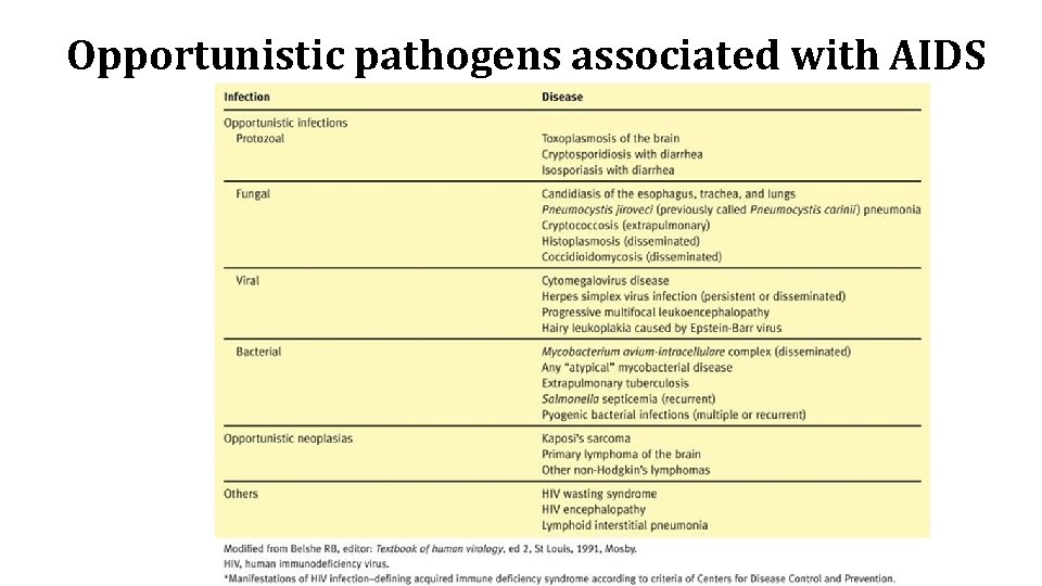 Opportunistic pathogens associated with AIDS 