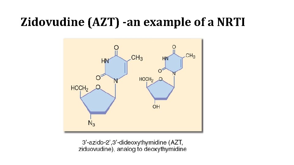 Zidovudine (AZT) -an example of a NRTI 