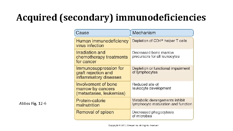 Acquired (secondary) immunodeficiencies Abbas Fig. 12 -6 