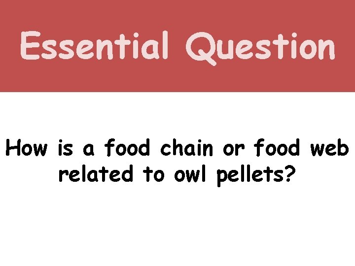 Essential Question How is a food chain or food web related to owl pellets?