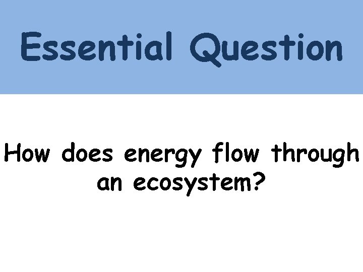 Essential Question How does energy flow through an ecosystem? 