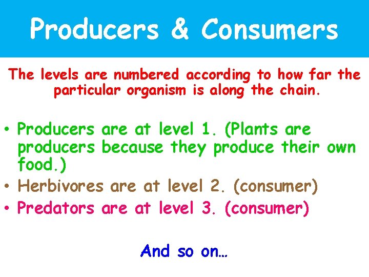 Producers & Consumers The levels are numbered according to how far the particular organism