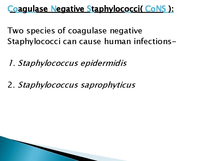 Coagulase Negative Staphylococci( Co. NS ): Two species of coagulase negative Staphylococci can cause