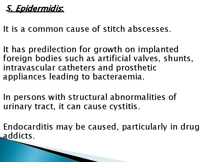 S. Epidermidis: It is a common cause of stitch abscesses. It has predilection for