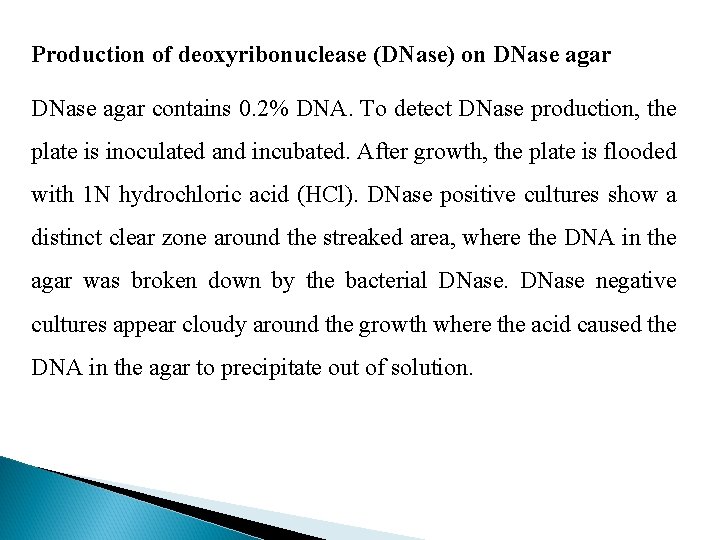 Production of deoxyribonuclease (DNase) on DNase agar contains 0. 2% DNA. To detect DNase