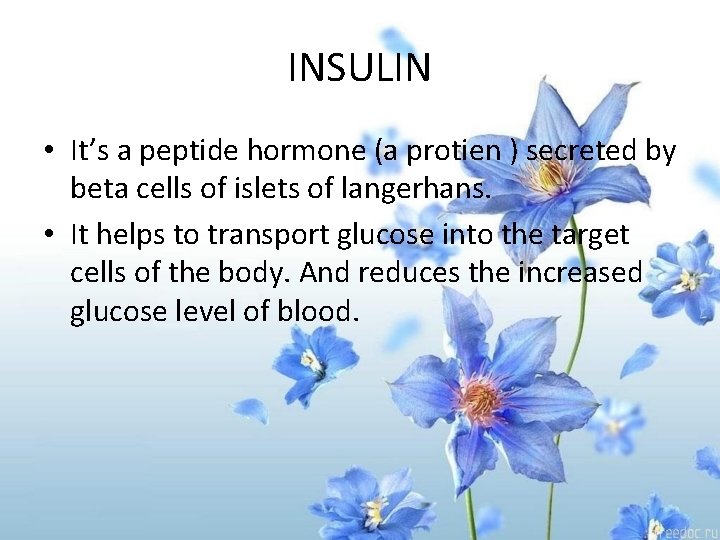 INSULIN • It’s a peptide hormone (a protien ) secreted by beta cells of