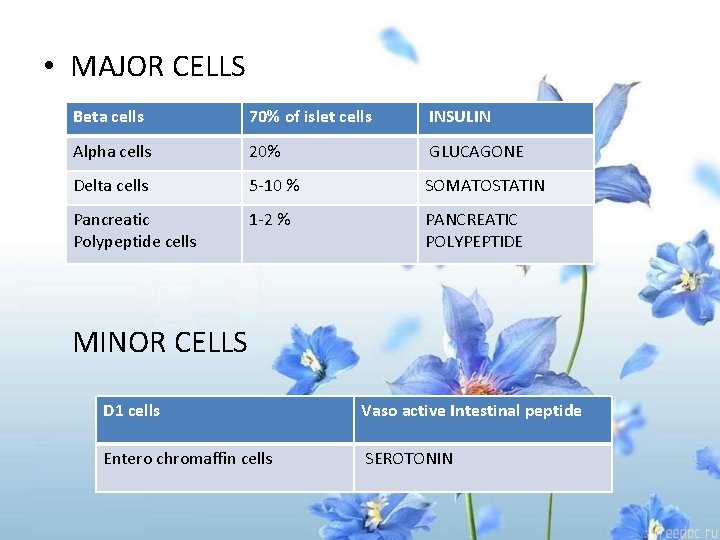  • MAJOR CELLS Beta cells 70% of islet cells INSULIN Alpha cells 20%