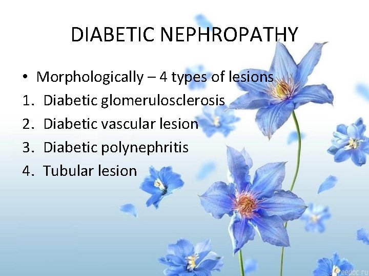 DIABETIC NEPHROPATHY • Morphologically – 4 types of lesions 1. Diabetic glomerulosclerosis 2. Diabetic