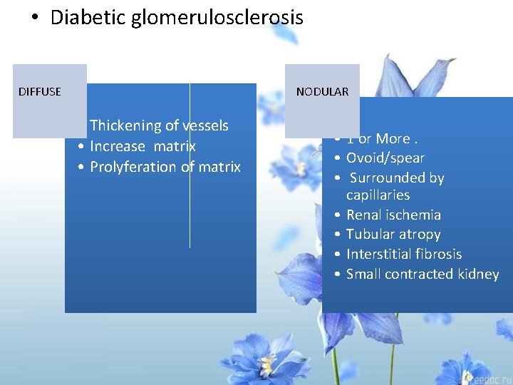  • Diabetic glomerulosclerosis DIFFUSE NODULAR • Thickening of vessels • Increase matrix •