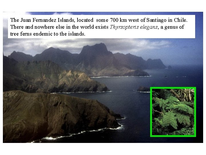 The Juan Fernandez Islands, located some 700 km west of Santiago in Chile. There