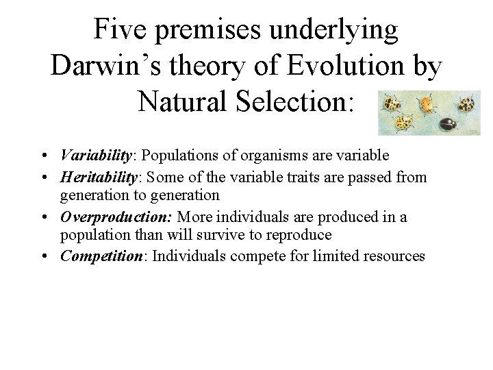 Five premises underlying Darwin’s theory of Evolution by Natural Selection: • Variability: Populations of