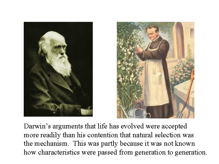 Darwin’s arguments that life has evolved were accepted more readily than his contention that