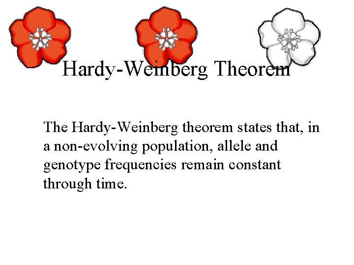 Hardy-Weinberg Theorem The Hardy-Weinberg theorem states that, in a non-evolving population, allele and genotype