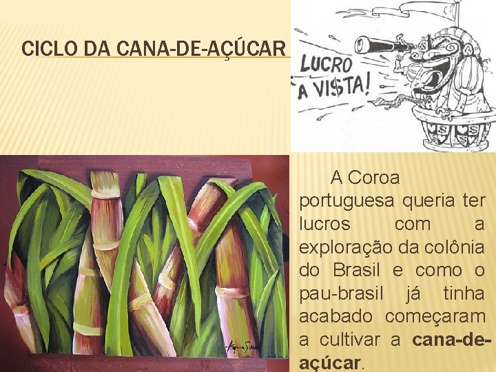 CICLO DA CANA-DE-AÇÚCAR A Coroa portuguesa queria ter lucros com a exploração da colônia