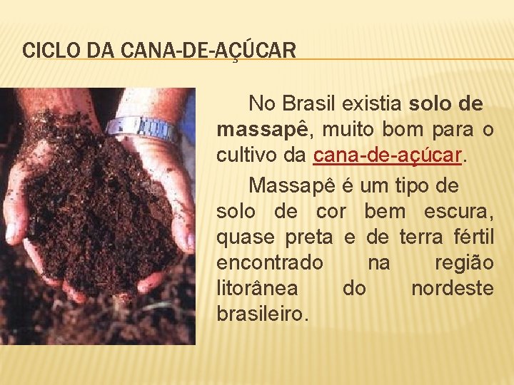 CICLO DA CANA-DE-AÇÚCAR No Brasil existia solo de massapê, muito bom para o cultivo