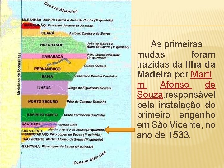 As primeiras mudas foram trazidas da Ilha da Madeira por Marti m Afonso de