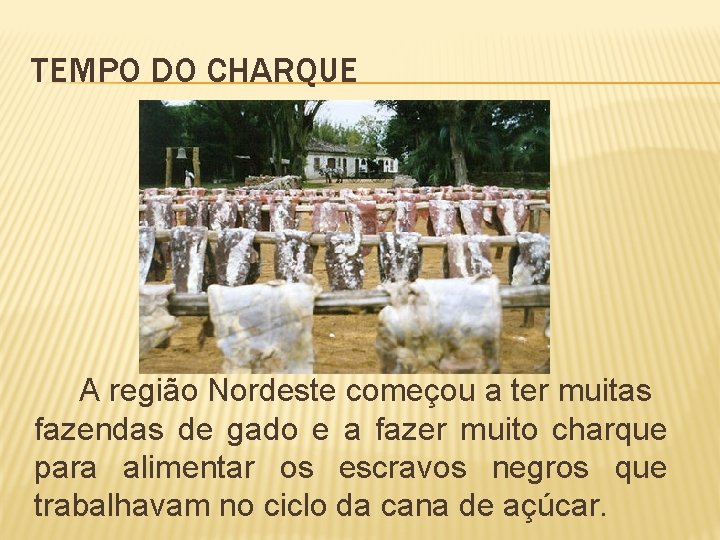TEMPO DO CHARQUE A região Nordeste começou a ter muitas fazendas de gado e