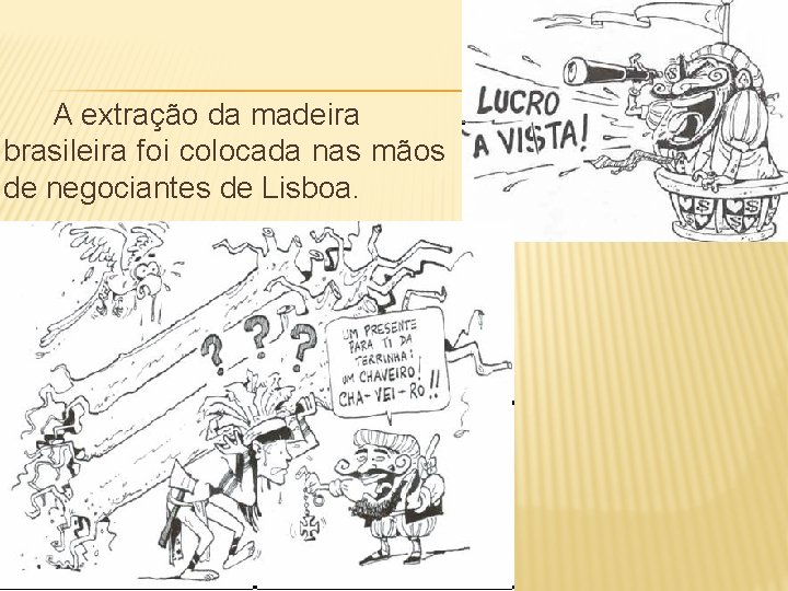 A extração da madeira brasileira foi colocada nas mãos de negociantes de Lisboa. 